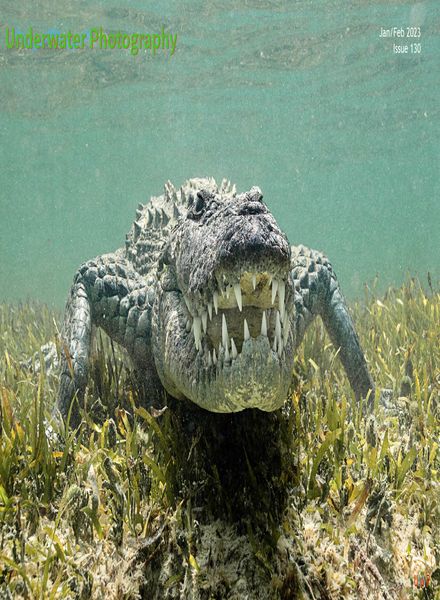 Underwater Photography – January-February 2023
