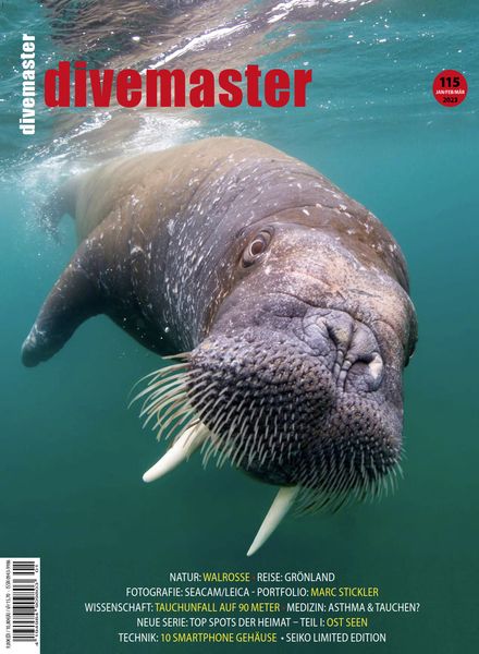 Divemaster – Januar-Marz 2023