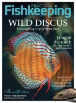 Practical Fishkeeping – February 2023