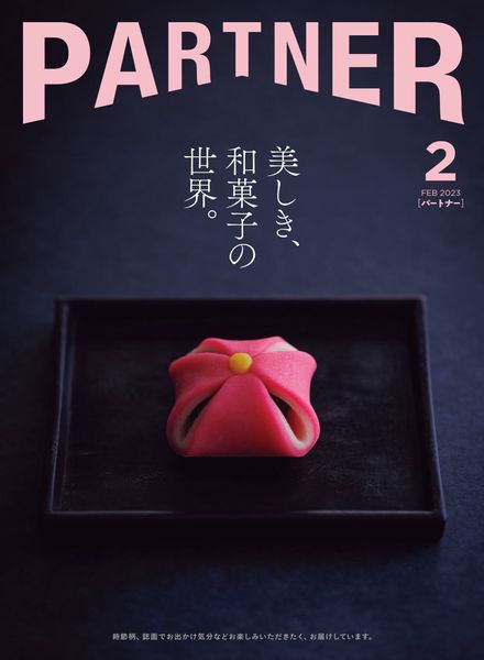 PARTNER – 2023-01-01