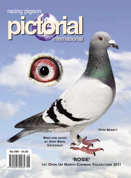 Racing Pigeon Pictorial International – March 2023