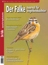 Der Falke Journal fur Vogelbeobachter – April 2023
