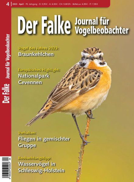Der Falke Journal fur Vogelbeobachter – April 2023
