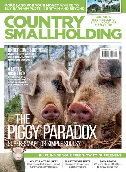 The Country Smallholder – October 2021