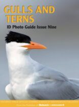 Bird ID Photo Guides – 05 June 2023