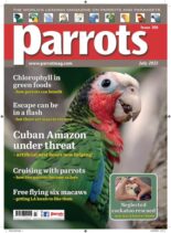 Parrots – July 2023