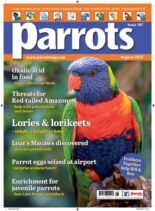 Parrots – August 2023