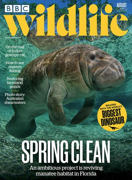 BBC Wildlife – August 2023