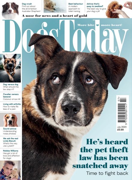 Dogs Today UK – July 2023