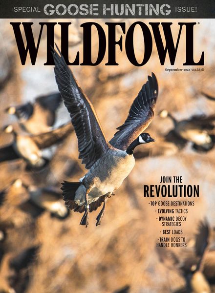 Wildfowl – September 2023