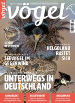 Vogel Magazin – August 2023