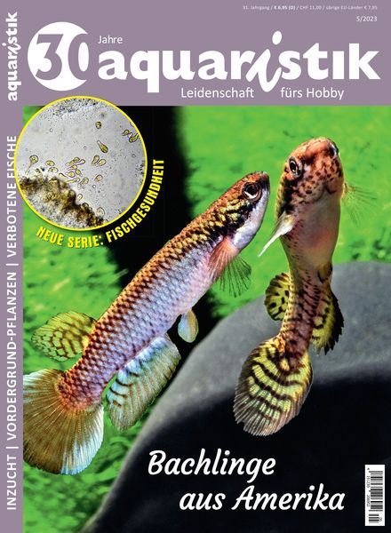 Aquaristik – August 2023