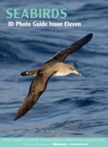Bird ID Photo Guides – Seabirds – August 2023