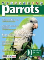 Parrots – Issue 308 – September 2023