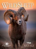 Wild Sheep Journal – Summer 2023