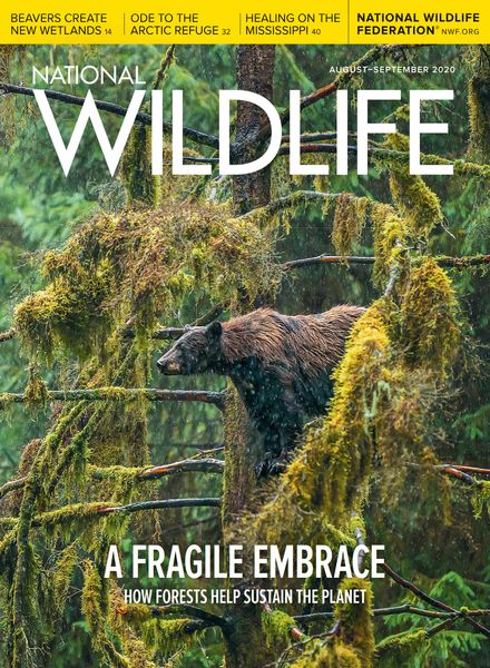 National Wildlife – August-September 2020