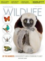National Wildlife – June-July 2020