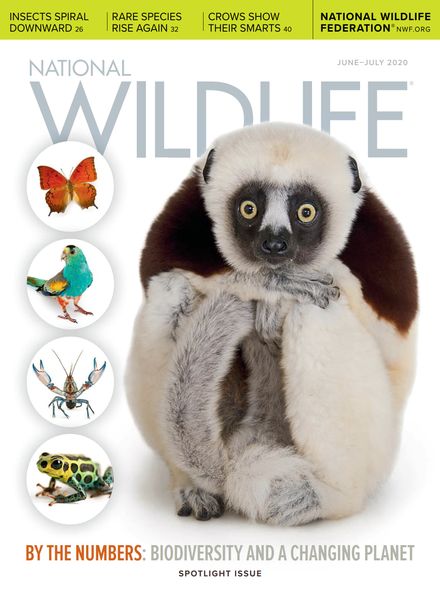 National Wildlife – June-July 2020
