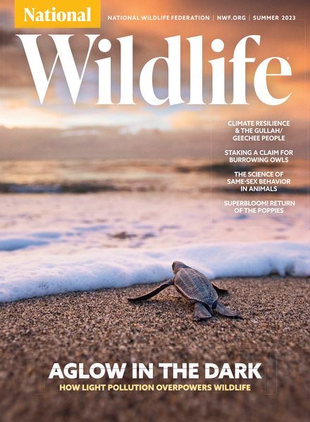 National Wildlife – Summer 2023