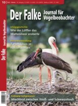 Der Falke Journal fur Vogelbeobachter – Oktober 2023