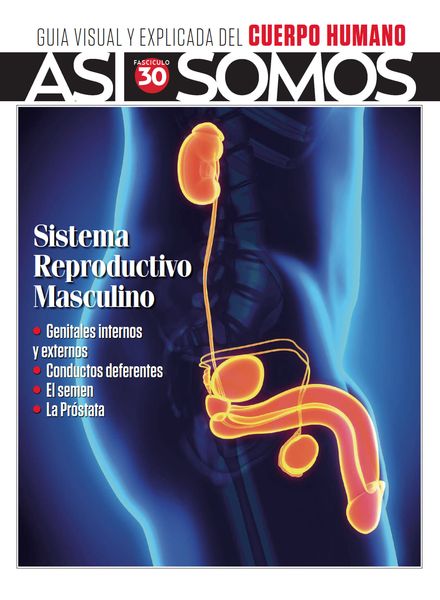 Asi Somos El cuerpo humano – 6 Octubre 2023