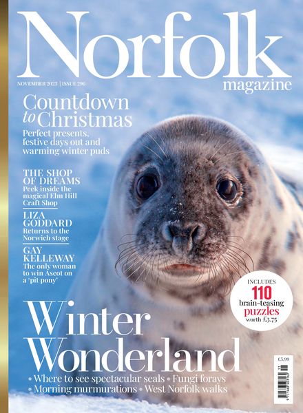Norfolk Magazine – November 2023
