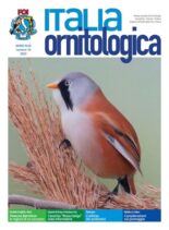 Italia Ornitologica – Numero 10 2023