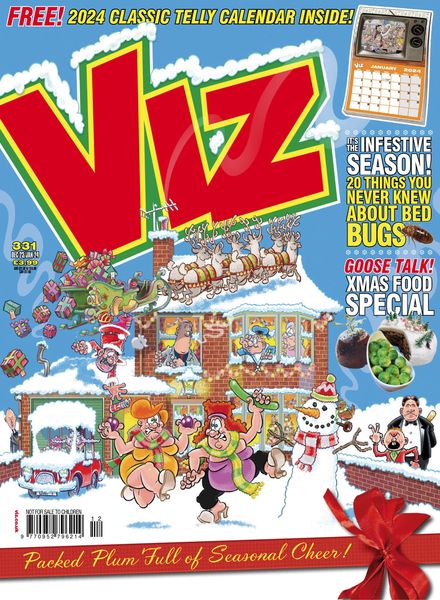 Viz – December 2023 – Januuary 2024