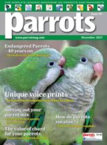 Parrots – December 2023