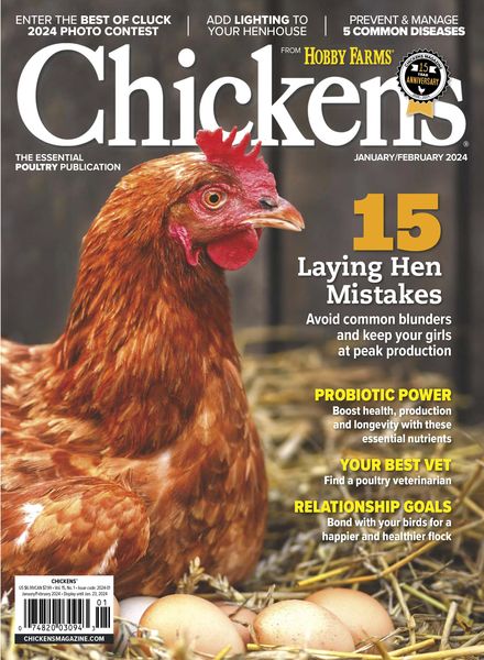 Chicken – January-February 2024