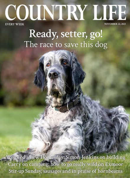 Country Life UK – 22 November 2023