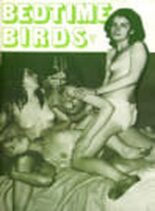 Bedtime Birds – N 1