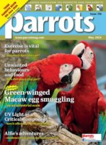 Parrots – May 2024