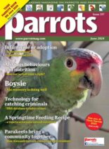 Parrots – June 2024