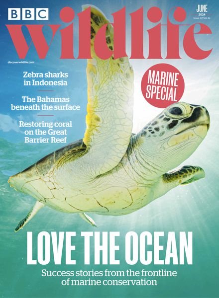 BBC Wildlife – June 2024