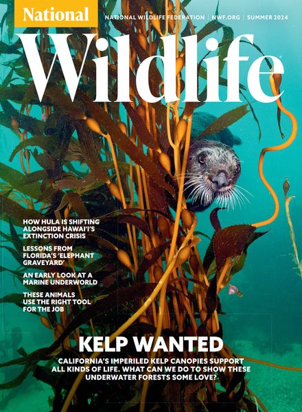 National Wildlife – Summer 2024