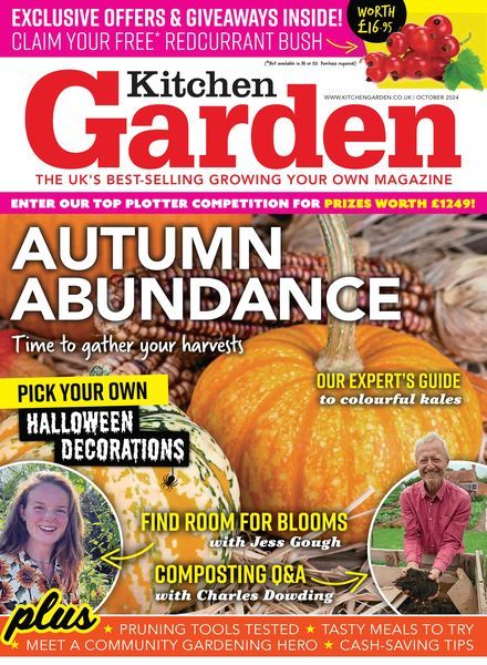 Kitchen Garden – October 2024