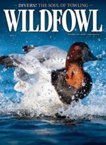 Wildfowl – November 2024