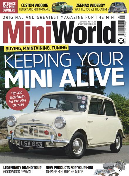 MiniWorld – November 2024