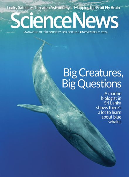 Science News – 2 November 2024
