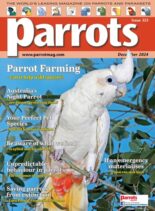 Parrots – December 2024