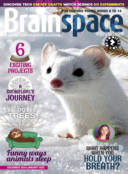 Brainspace – December 2024