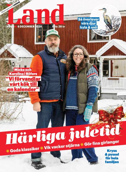 Land – 6 December 2024