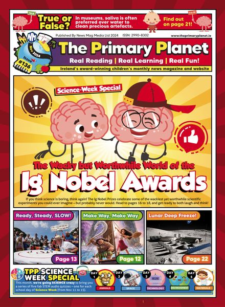 The Primary Planet – November 2024