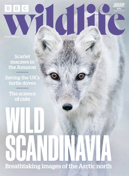 BBC Wildlife – January 2025
