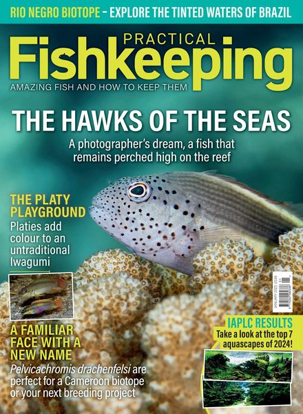 Practical Fishkeeping – January 2025
