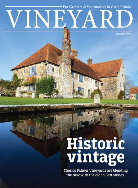 Vineyard – January 2025