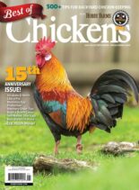 Chickens – Best of Chickens – January 2025