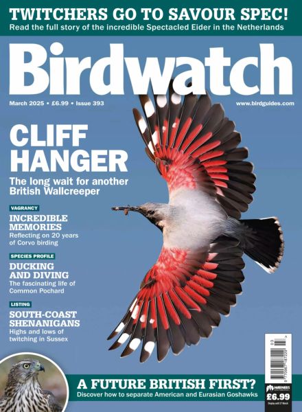 Birdwatch UK – March 2025