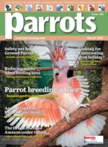 Parrots – March 2025